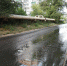 В Саратове на улице Огородной забил гейзер - Провинциальный телеграфъ