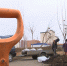 В Саратове идут завершающие высадки саженцев деревьев - Saratov24.TV