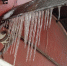 сосулька - Novosti-Saratova.Ru