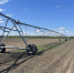 IMG_20250117_173652_131 - Novosti-Saratova.Ru
