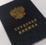 В Саратовской области 80% выпускников колледжей трудоустроились по специальности - Общественное мнение
