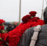 Фото администраций районов - ИА СаратовБизнесКонсалтинг