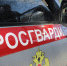 В Саратове сотрудники Росгвардии задержали гражданку, совершившую хищение с объекта торговли - Росгвардия