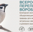 В Саратовской области подсчитали воробьев - Общественное мнение