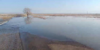 Паводок 2025: на некоторых реках Саратовской области вода за сутки поднялась на 67 сантиметров - Провинциальный телеграфъ