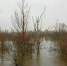 На большинстве рек Саратовской области начался спад уровня воды - SaratovNews.Ru