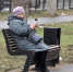 Как самозанятым в Саратове накопить на достойную пенсию? - SaratovNews.Ru