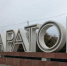 Работодатели из Саратова ценят в молодежи организованность - SaratovNews.Ru