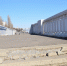 photo-2025-03-24-18-50-09-1 - Novosti-Saratova.Ru