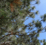 photo_1_2025-04-07_23-54-35 - Novosti-Saratova.Ru