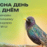 Саратовцев просят фотографировать скворцов, чаек и ласточек - Общественное мнение