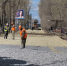 В Саратове не планируются компенсационные высадки взамен деревьев, спиленных при реконструкции трамвая №3 - Провинциальный телеграфъ