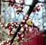 IMG_20250414_073736_528 - Novosti-Saratova.Ru