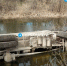 photo_2025-04-14_13-32-47 - Novosti-Saratova.Ru