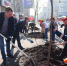 photo_2025-04-26_10-53-47 - Novosti-Saratova.Ru