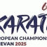 Саратовские каратисты выступят на чемпионате Европы - Общественное мнение