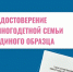 Статус многодетных подтвердили почти 18 тыс. семей - Saratov24.TV