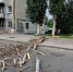 IMG_20250604_171621_206 - Novosti-Saratova.Ru