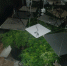 IMG-20250606-WA0000 - УМВД Саратовской области