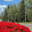 парк - Novosti-Saratova.Ru