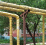 IMG_20250709_162019_059 - Novosti-Saratova.Ru