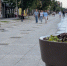 проспект - Novosti-Saratova.Ru