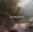 IMG_20250722_203155_659 - Novosti-Saratova.Ru