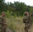 5197357654970864373.jpg - RiaSar.Ru