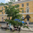 лето_волжская_жара_Саратов - Novosti-Saratova.Ru