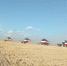 IMG_20250804_155838_848 - Novosti-Saratova.Ru