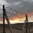 IMG_20250812_165748_413 - Novosti-Saratova.Ru