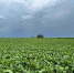 IMG_20250813_163651_484 - Novosti-Saratova.Ru
