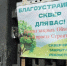 Эксперты высказались о подготовке к строительству школы в Ленинском районе - Общественное мнение