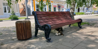 Саратовцев ждет еще один жаркий понедельник - ИА Взгляд-инфо