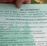 В Саратове сумма штрафов на нарушителей противопожарного режима в лесах приблизилась к миллиону рублей - Министерство природных ресурсов и экологии