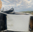 nxf5piwkcir0y3aa8lvf8grlh6402qc1 - Novosti-Saratova.Ru
