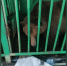 IMG_20250826_152816_009 - Novosti-Saratova.Ru