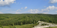 лес - Novosti-Saratova.Ru