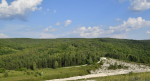 лес