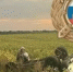 В Петровском районе произошло смертельное ДТП - SaratovNews.Ru