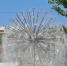 Еще один вторник порадует саратовцев жаркой погодой - ИА Взгляд-инфо