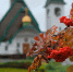 осень_дождь - Novosti-Saratova.Ru
