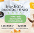 В Саратове стартует осенний сезон Всероссийской акции «Бумбатл» - Правительство Саратовской области