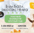 В Саратове стартует осенний сезон Всероссийской акции «Бумбатл» - Министерство природных ресурсов и экологии