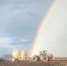 IMG_20250910_090635_071 - Novosti-Saratova.Ru