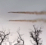 СВО.png - Saratov24.TV
