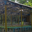 В Саратовской области Роспотребнадзор выявил нарушения в 83% детских лагерей - Четвертая Власть