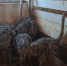 IMG_20250922_194529_314 - Novosti-Saratova.Ru