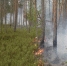 photo_2025-09-27_23-02-41 - Novosti-Saratova.Ru
