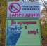 В Саратовской области ограничили посещение лесов - SaratovNews.Ru